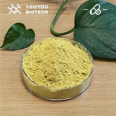 Σκόνη διυδροβερβερίνης